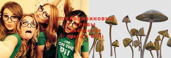 дурь Арсеньев