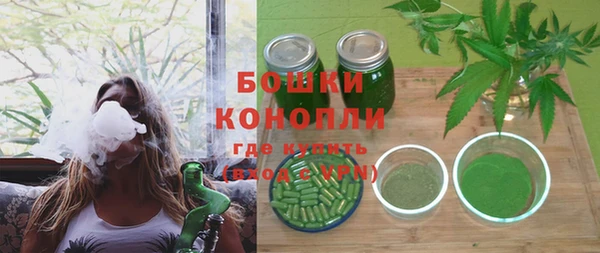 дурь Арсеньев